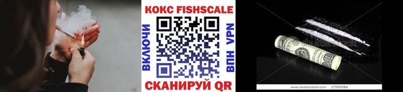 ОМГ ОМГ ТОР  Ржев  COCAIN Перу 