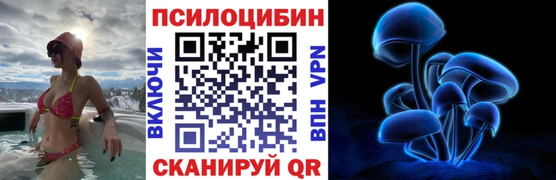дарк нет как зайти купить наркотики сайты Ржев Псилоцибиновые грибы GOLDEN TEACHER